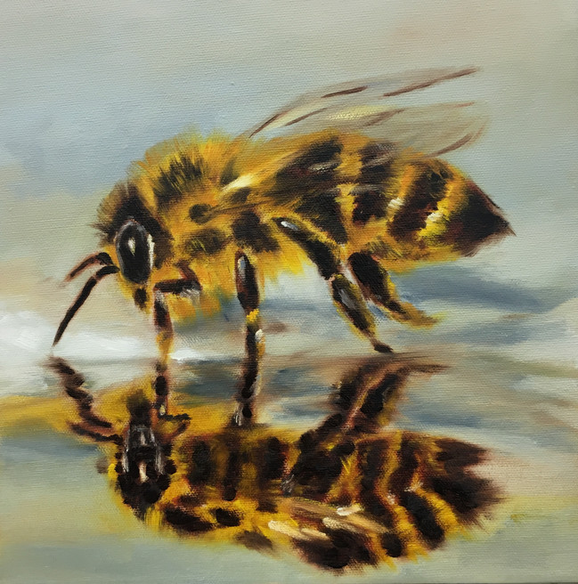 Thirsty Bee