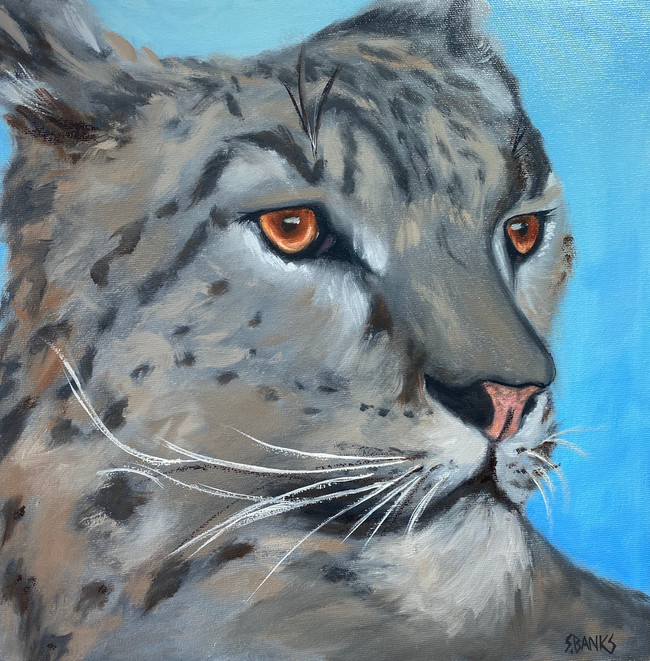 Snow Leopard