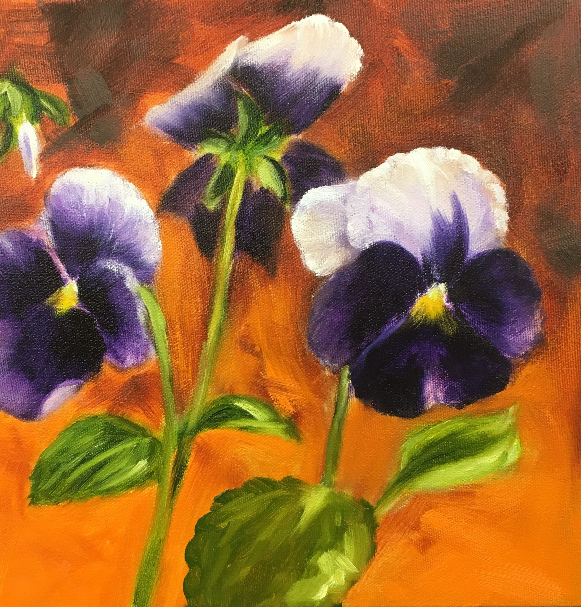 Purple Pansies