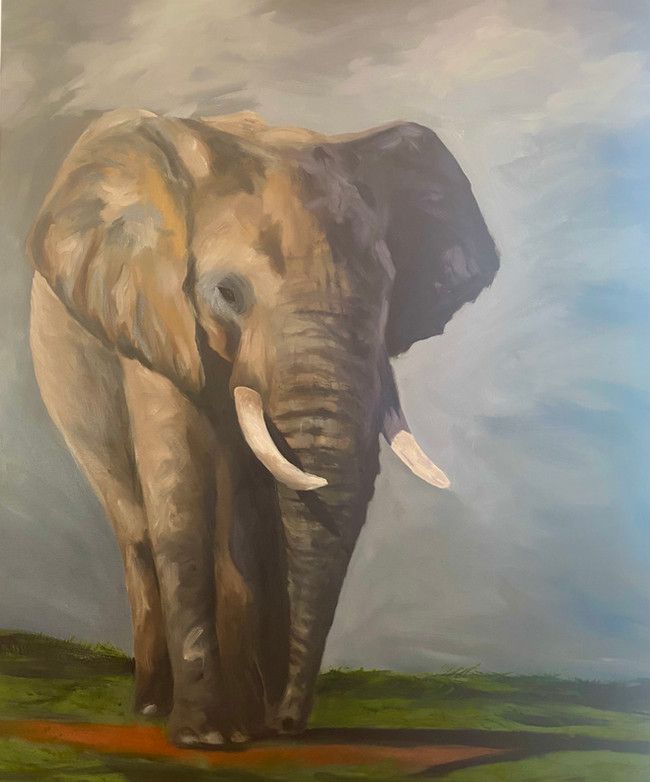 tusker.jpeg