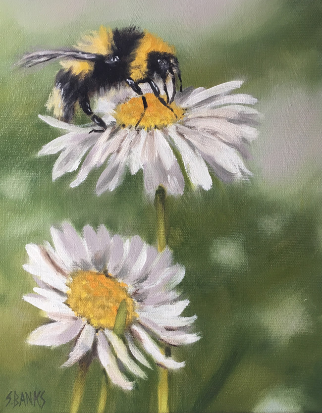 Bee On A Daisy
