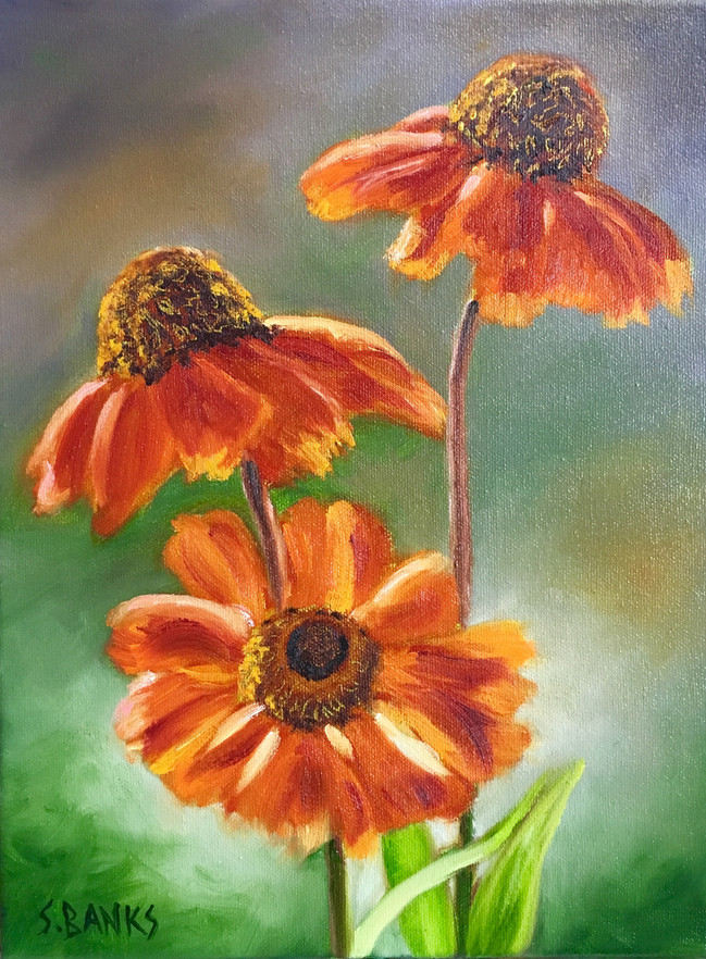 Coneflowers