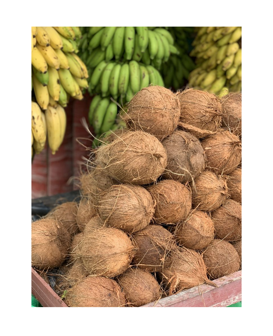 Thumbnail: COCONUT [ತೆಂಗಿನಕಾಯಿ]