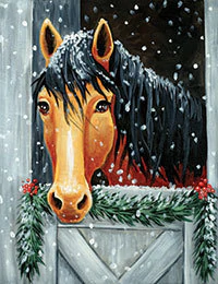 Holly the horse