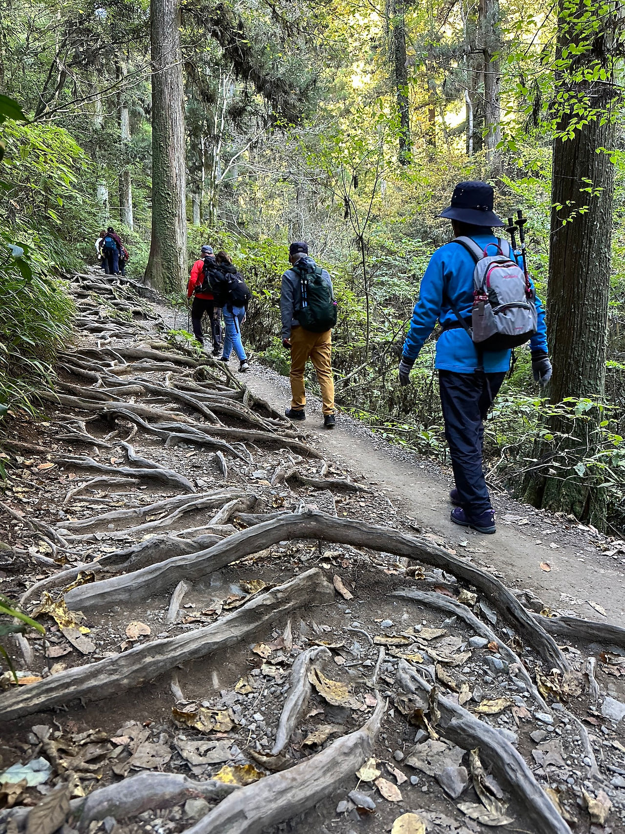 Trekking al Monte Takao, Tokyo