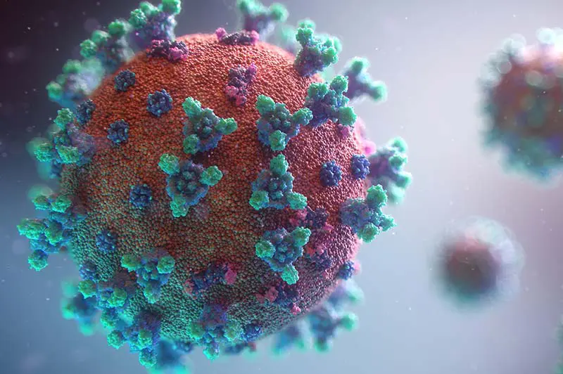 virus