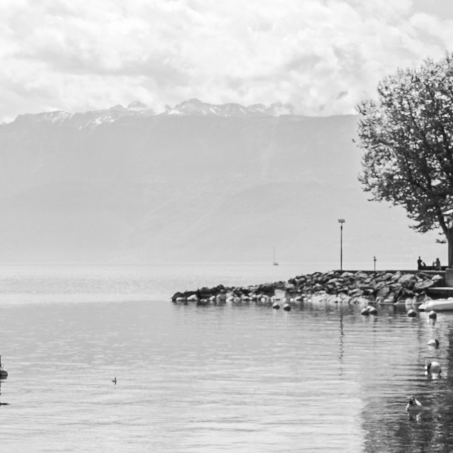 Black-and-white motif from Lausanne