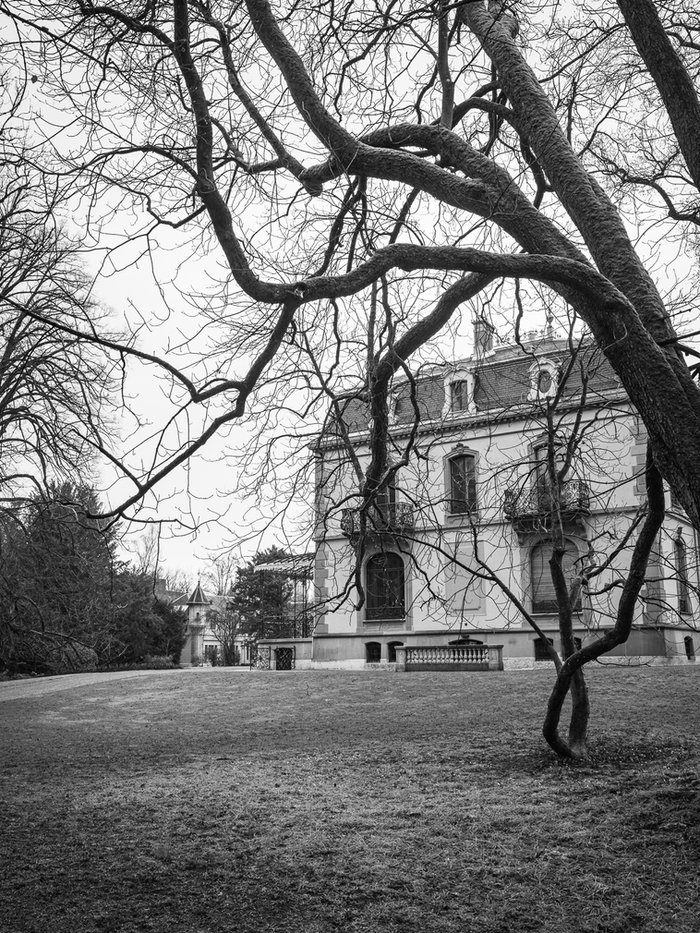 Villa Bühler Winterthur