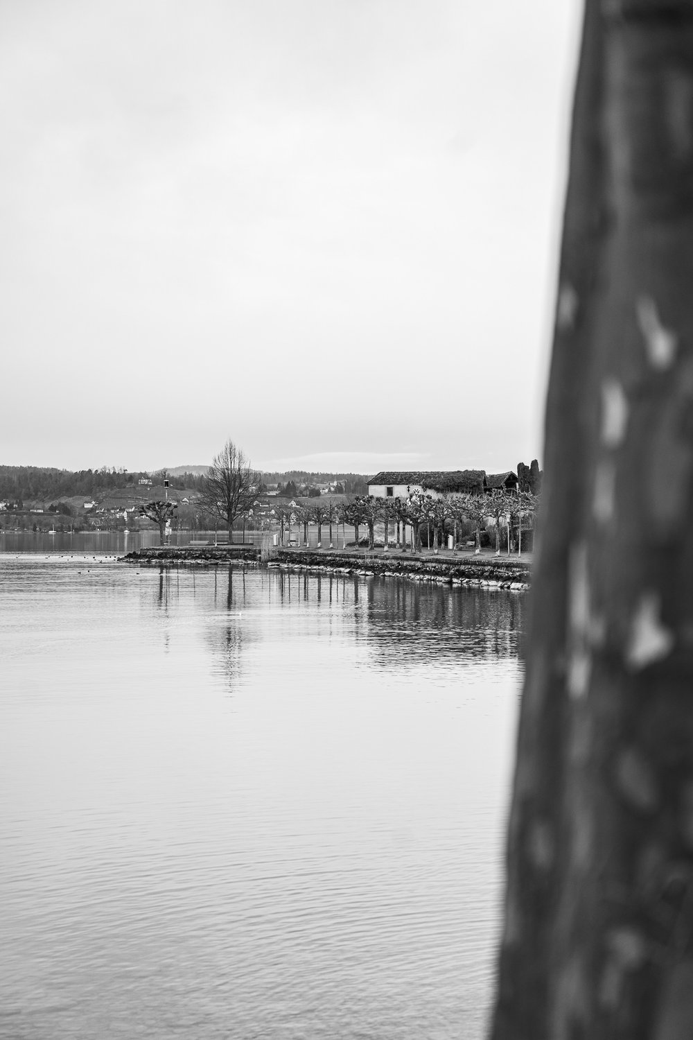 Hafen Rapperswil Nr. 1