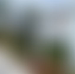 Building Credibility in Corporate Social Responsibility Initiatives