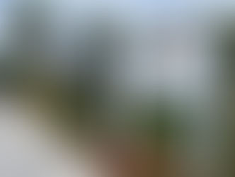 Building Credibility in Corporate Social Responsibility Initiatives