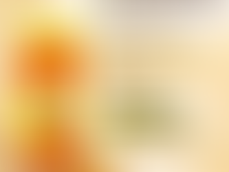 🐝 Sun Mark Honey – Image Post Content