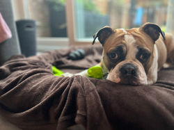 IMG_7358.jpeg