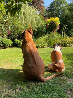 Aussicht genießen.jpg