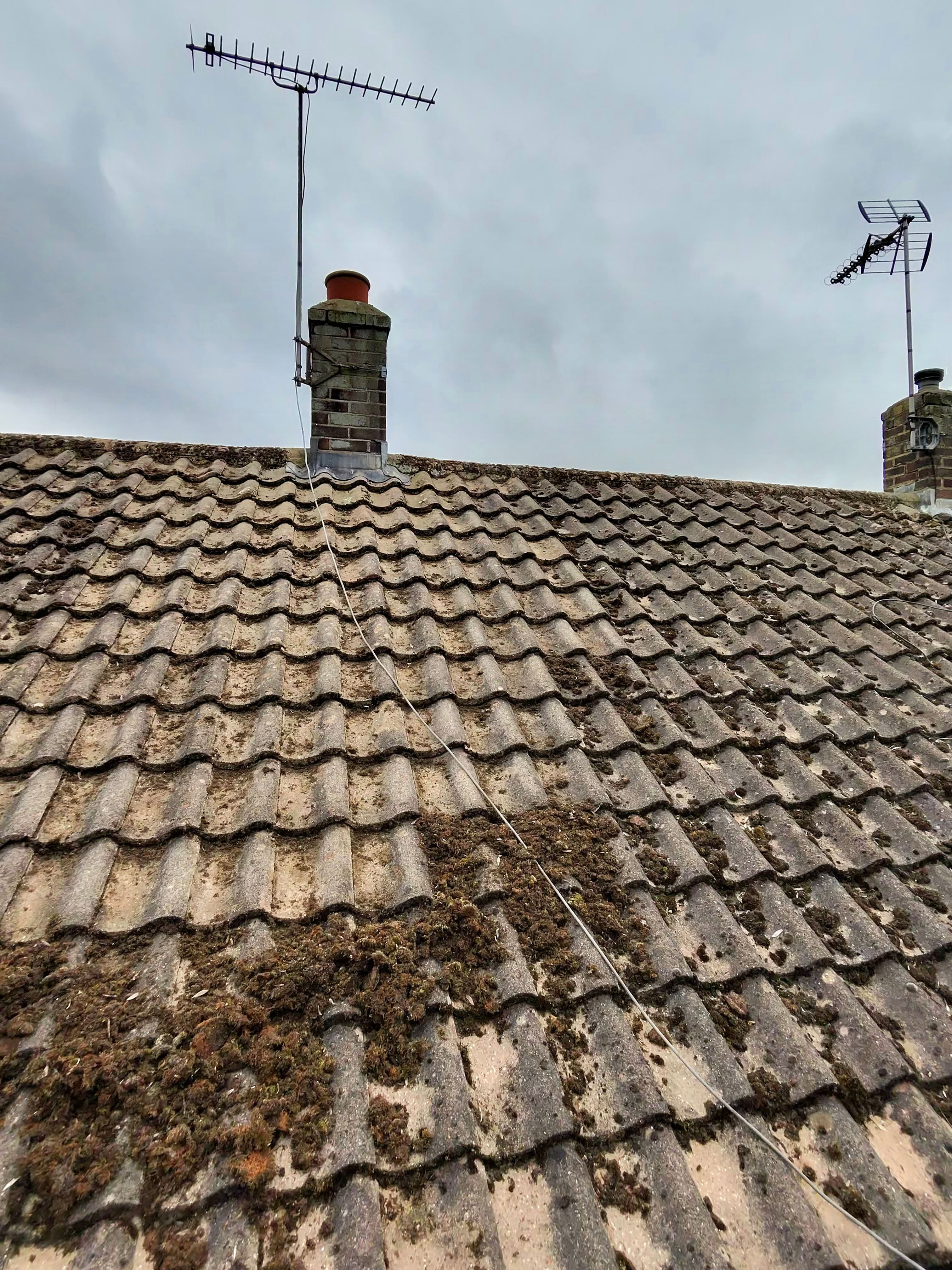 Moss removal