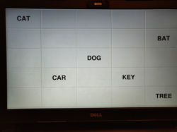 Cognitive Test Interface
