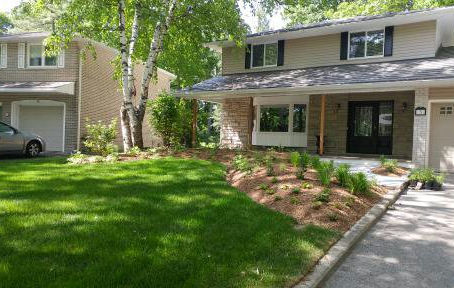 My Woodland Garden is Coming Along