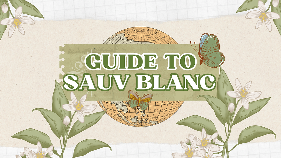 Beginner's Guide to Sauvignon Blanc