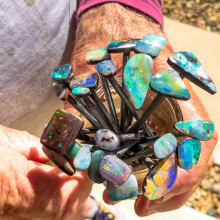 Boulder Opals finished being cut Cap Gem