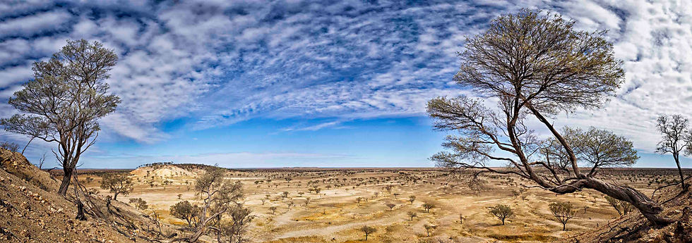 RANGELANDS, Winton.jpg