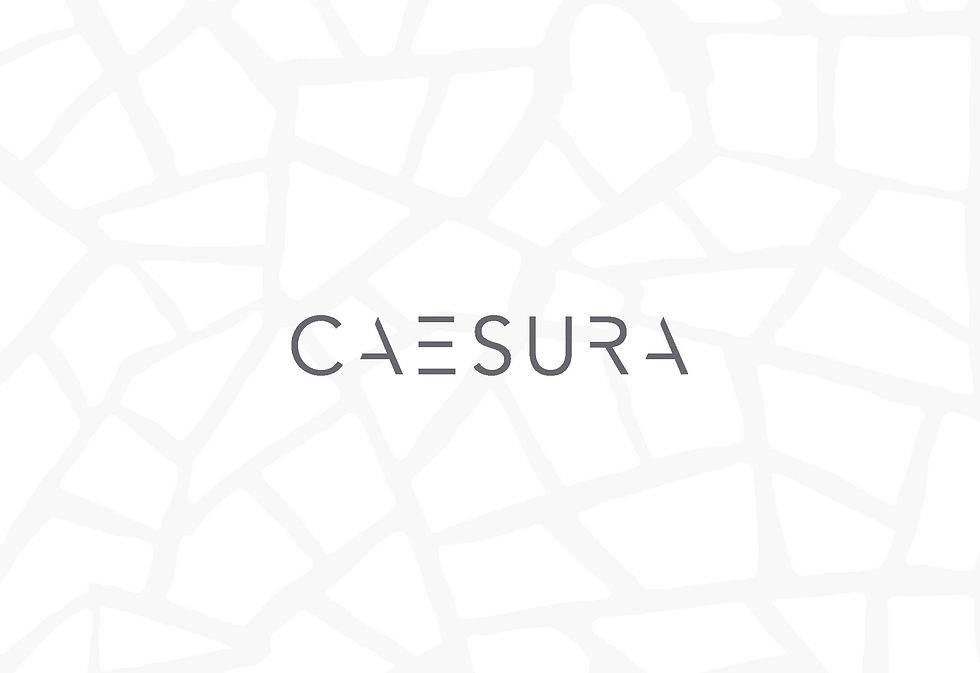 JRose_Caesura_StyleGuide_Page_01 1920.jpg