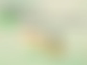 出来形管理とは?基礎からわかるチェックポイント