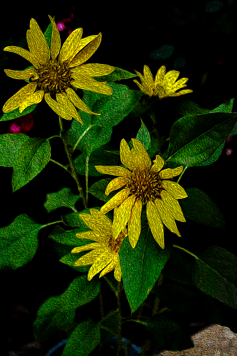 Spring Sunflowers - Image Credit = www.DeFiveStudios.com