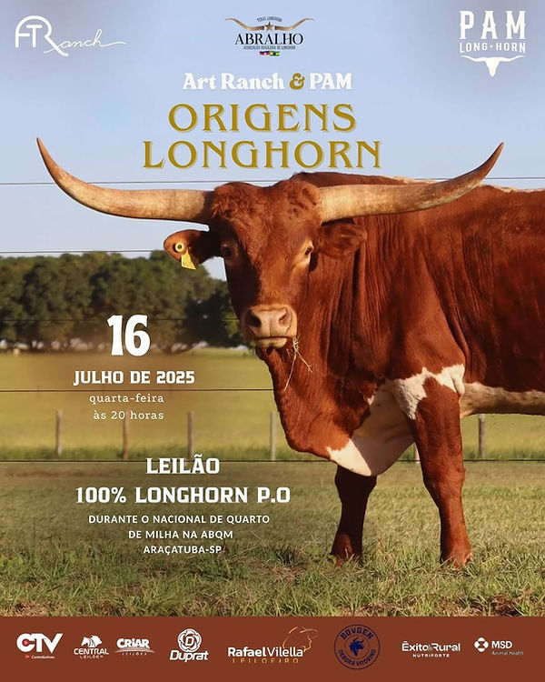 Beleza que impressiona. Genética que transforma.O Longhorn é a raça do momento — e essa é