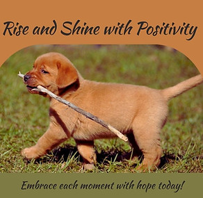 Facebook Post - Rise and Shine with Positivity.jpg