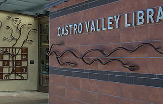 castro valley library