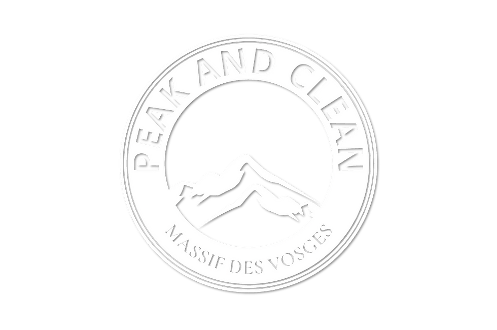 Logo Peak and Clean, nettoyage locations saisonnières Hautes-Vosges.