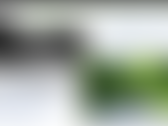 Discover the Updated Heritage Presentation: A Rich Story of Island Park Drive