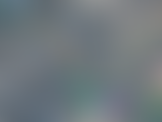 Ottawa’s New Zoning By-law Review: Shaping Island Park Drive