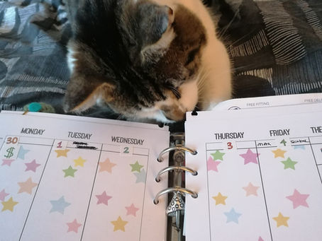 Get set for the week on a Sunday
