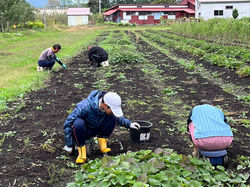 リトルbyリトル