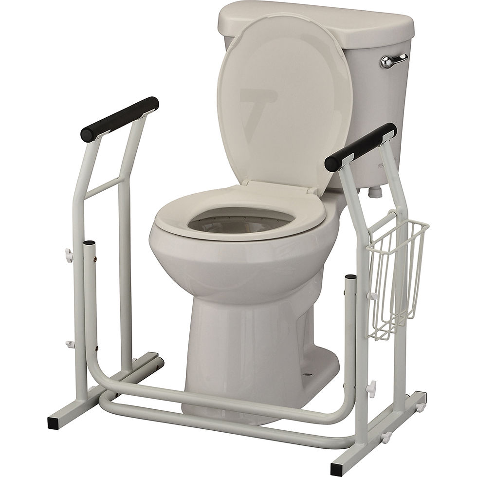 Miniatura: Toilet Safety Support Frame