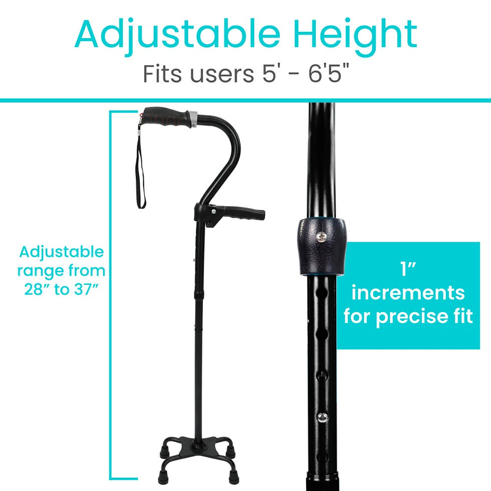 Miniatura: Stand Assist Cane