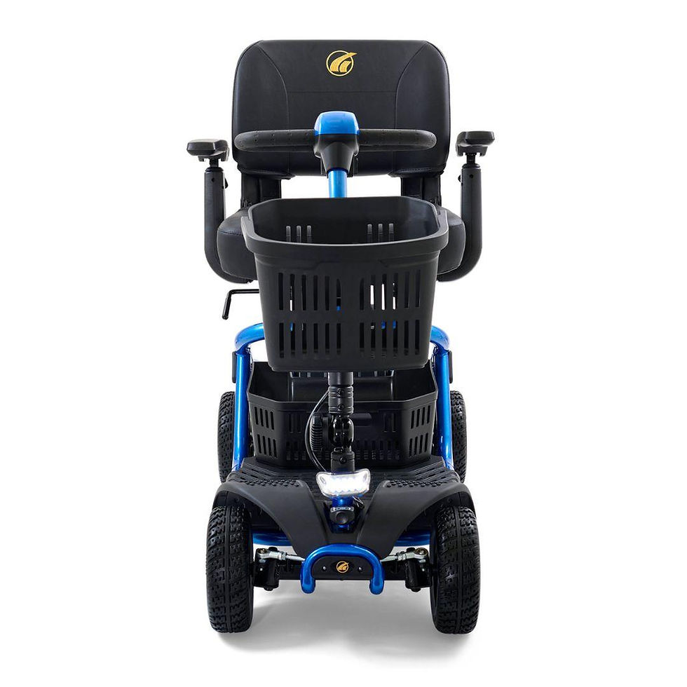 Thumbnail: Customized LiteRider 4-Wheel