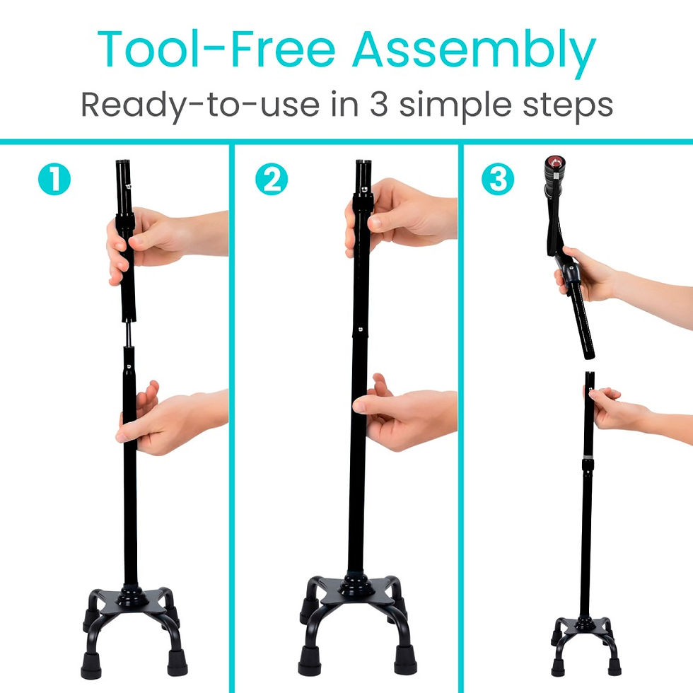 Miniatura: Stand Assist Cane