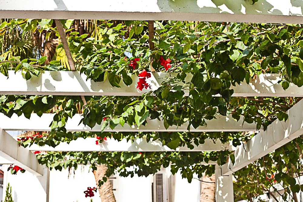 IMG_6319.webp