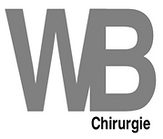 WBN Logo.png