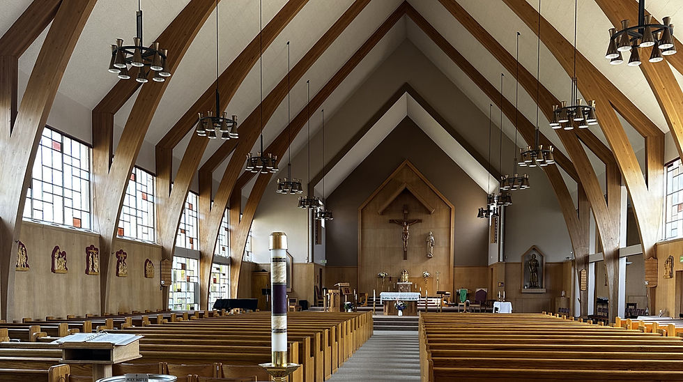 Phase 1 complete from back.JPG