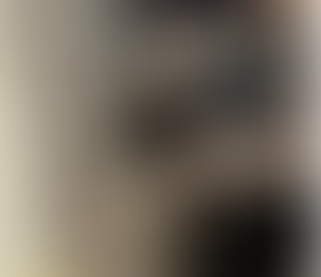 Elevating Workspaces: The Art and Science of Office Cleaning