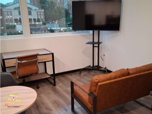 Should You Go Green when buying cleaning products