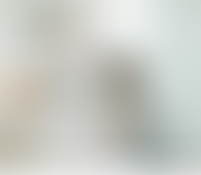 residential and commercial cleaning