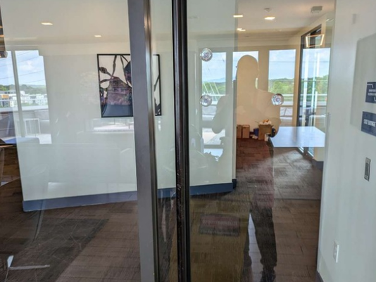 Disinfection Services: Fogging and Surface Disinfection to Eliminate Germs and Bacteria, Especially in High-touch Areas.