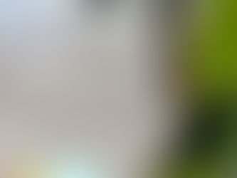 residential and commercial cleaning