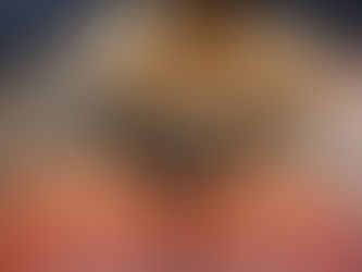 residential and commercial cleaning