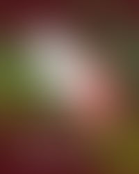 residential and commercial cleaning