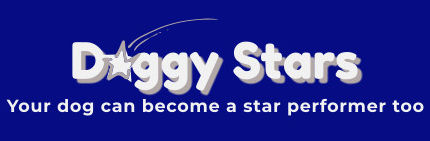 A dark blue background with white words on it. The larger words are "Doggy Stars" with the o replaced with a shooting star. Underneath, it says "Your dog can become a star performer too."